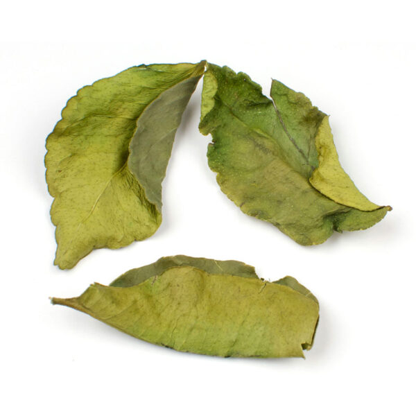 Organic Dried Iranian Lime Leaves - 700g