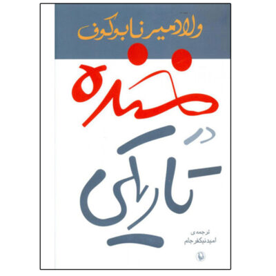 Laughter in the Dark Novel by Vladimir Nabokov (Farsi)