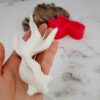 Fish Silicone Candle Mold