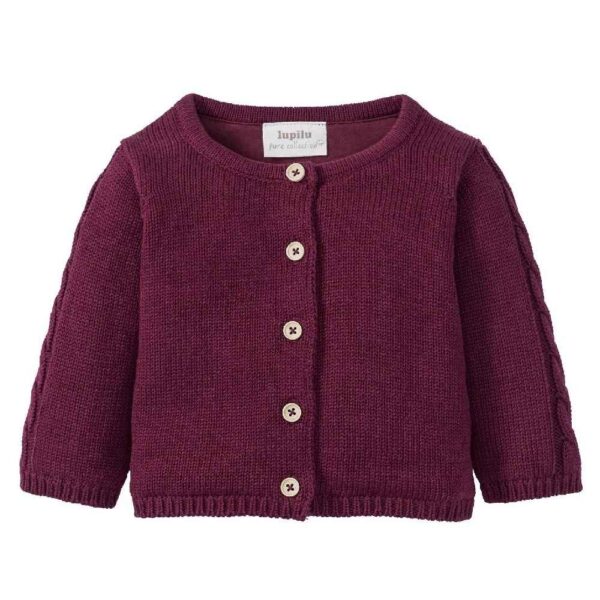 Long Sleeve Infant Knitted Cardigan Model Bahar