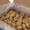 Persian Haji Badam Sweets - Traditional Yazdi Cookies 1500 grams