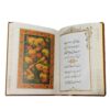 Rubaiyat of Omar Khayyam Book (English & Persian)
