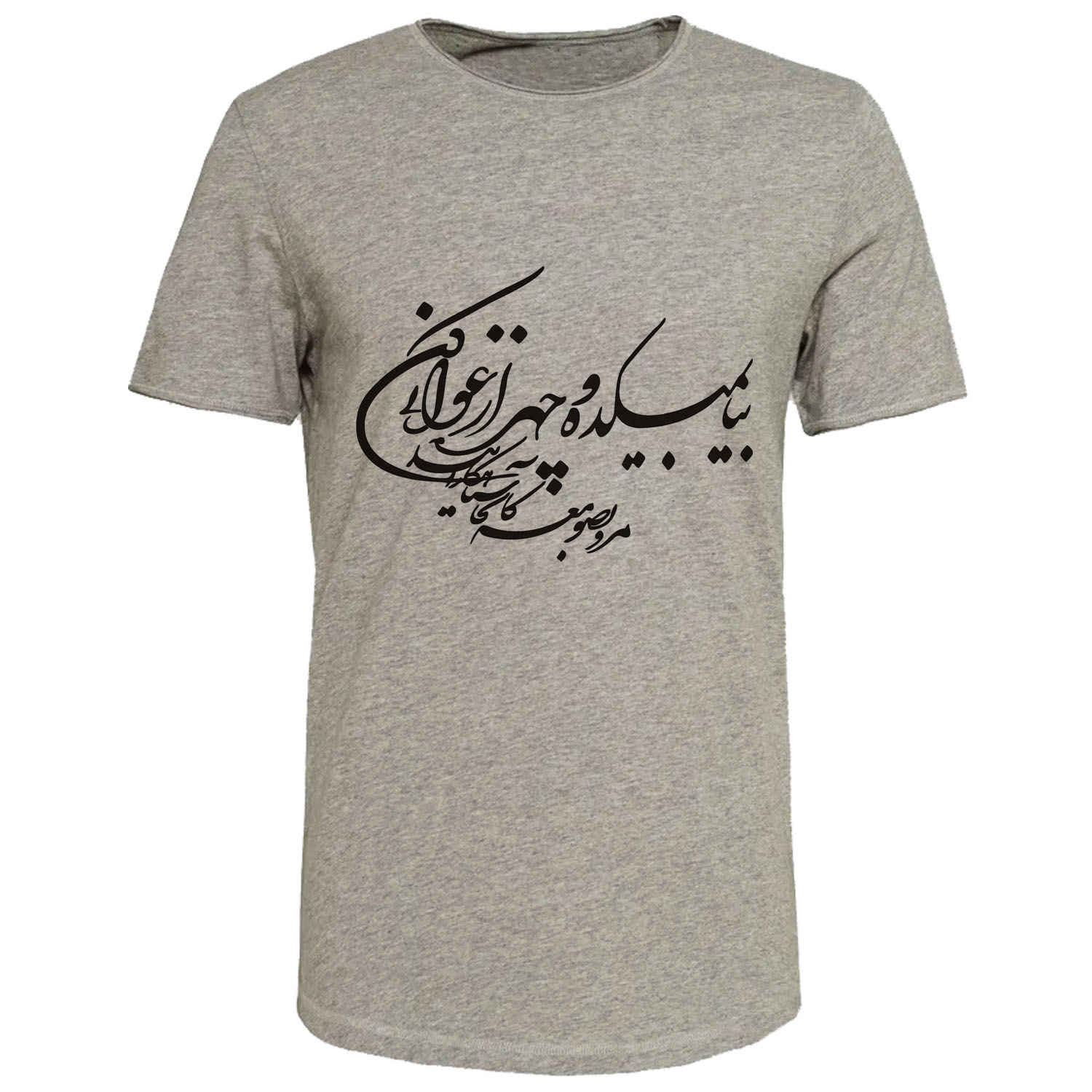 Persian Gray Cotton T-Shirt Model Shayan