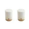 Set of Ceramic Salt & Pepper Shakers Golden