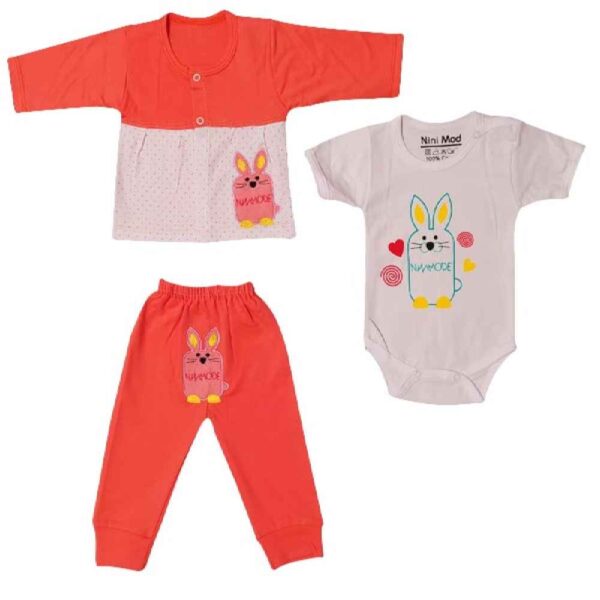 Long Sleeve Shirt Set Rabbit Pattern Model Girl (3 Pcs)