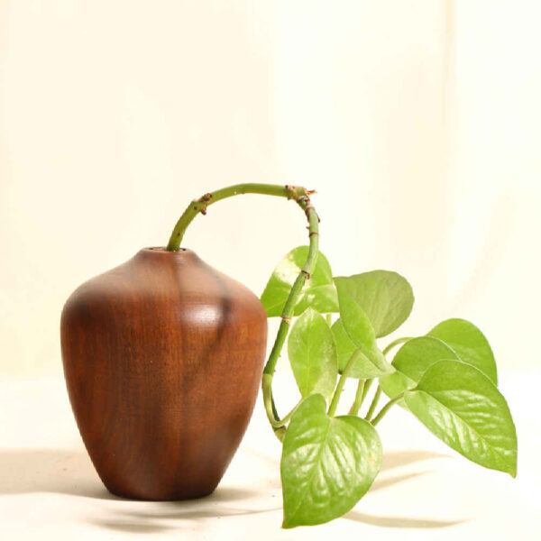 Handcrafted Decorative Wooden Vases Made from Natural Solid Wood Minimalist Tania