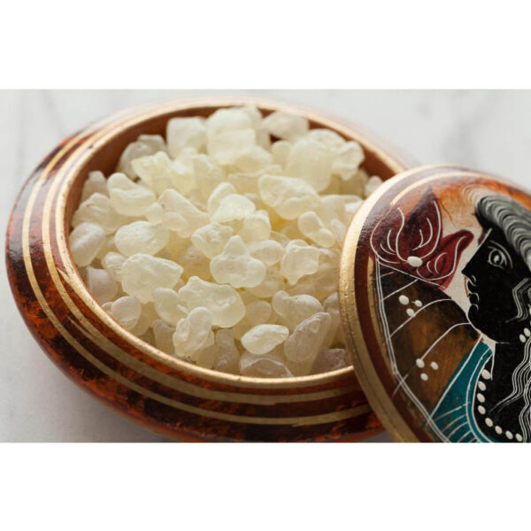 Rumi Mastagi (Pistacia Lentiscus) - 100 Gram