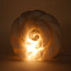Persian Flower Salt Lamp - Handcrafted Viana Design