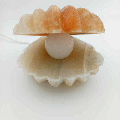 Salt Lamp – Handcrafted Shell & Pearl Design
