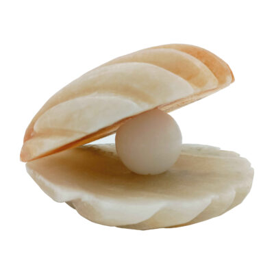 Salt Lamp – Handcrafted Shell & Pearl Design