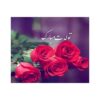 Happy Birthday Greeting Card Red Roses with Nastaligh Calligraphy