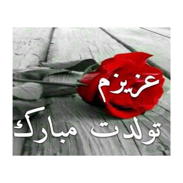 Happy Birthday Greeting Card Featuring Elegant Red Rose Design