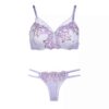 Lingerie Set Lace Bra & Thong for Women Two Pieces