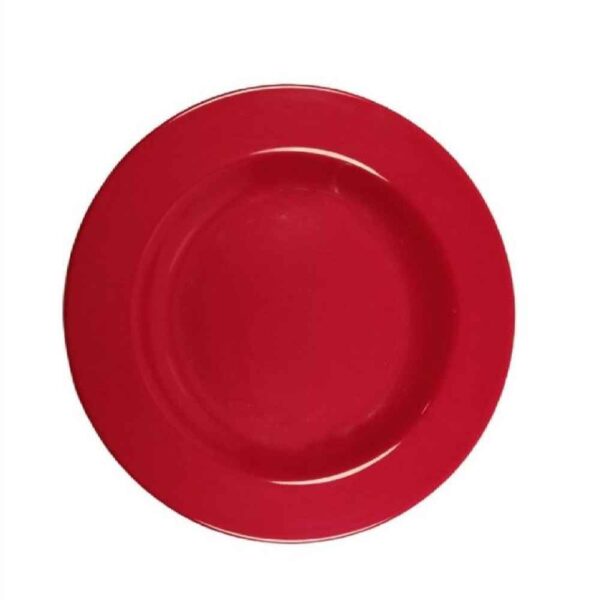 Melamine Plate Set, Dishwasher Safe for Everyday Use, Pack of 6