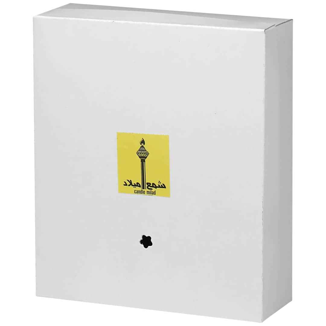 Pillar Candle Set – Cylindrical Design for Haft-Sin Table (2x)