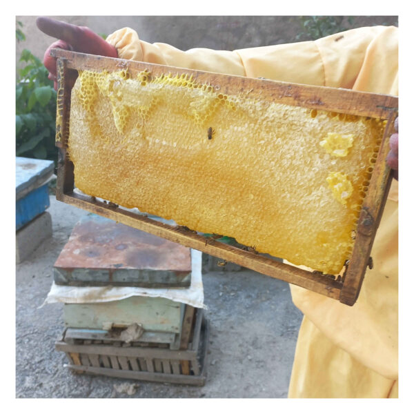 Iranian Sabalan Honey – Pure Sweetness from the Sabalan Mountains (1000g)