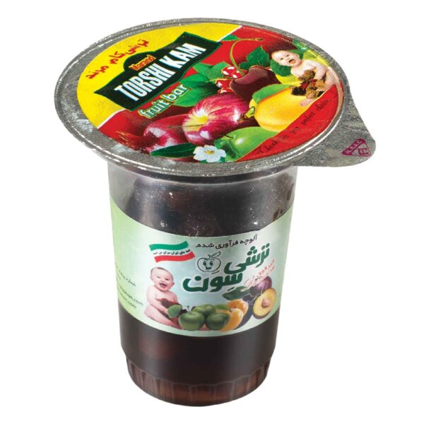 Persian Aloocheh – Mixed Sour Fruits in Syrup, 90 gr (Pack of 12)