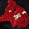 Sweatshirt & Pants Set for Kids with Teddy Bear Design in Velvet