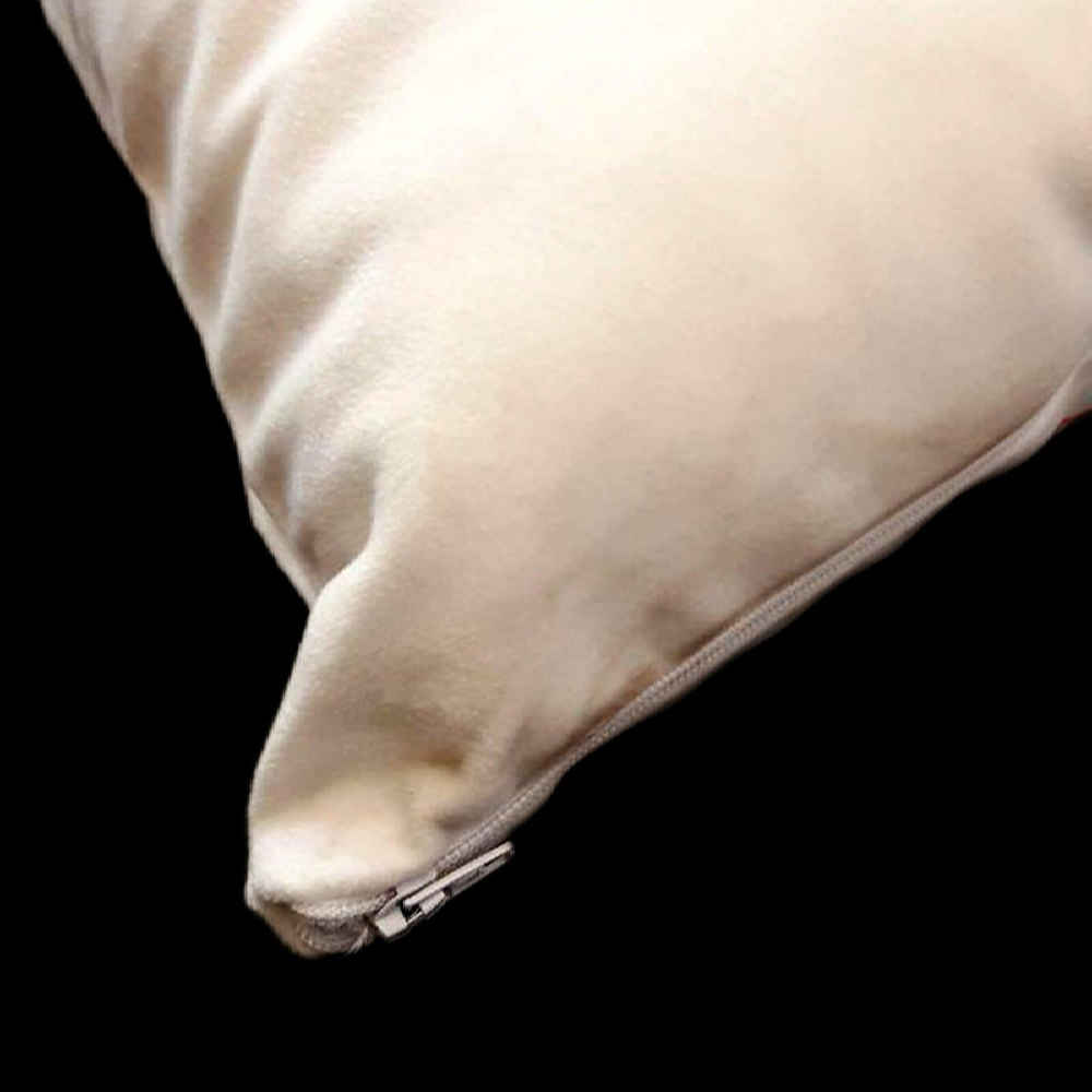 Stunning Cushion Cover – Printed Harry Potter Design