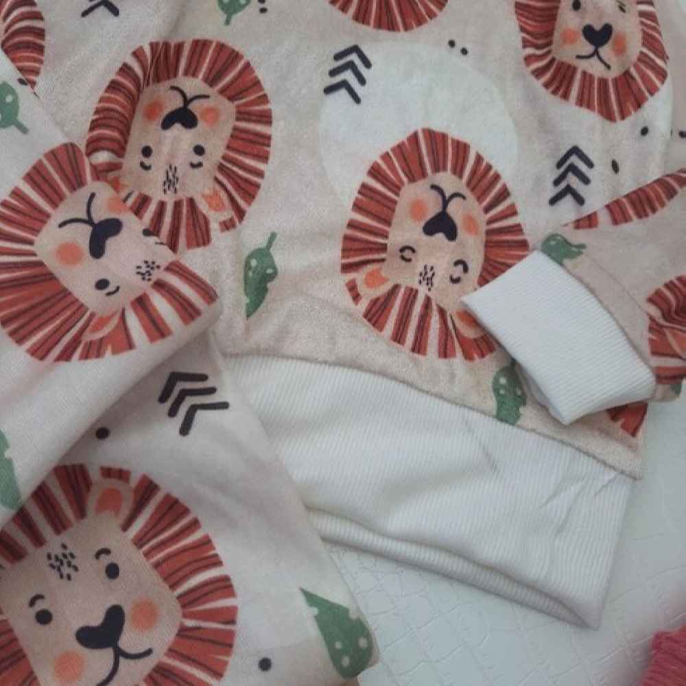 Kid’s Sweatshirt & Pants Set with Lion Design