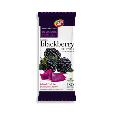 Lavashak – Persian Blackberry Traditional Sour Fruit Bar, 30g (20x)