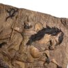 Wood Carved Backgammon Board Handcrafted Shahname Rostam Battle
