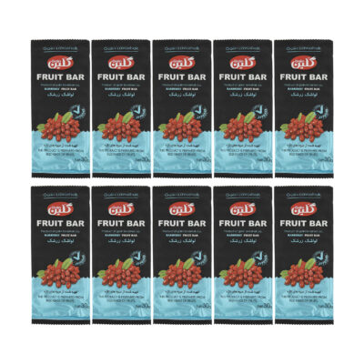 Galin Barberry Traditional Persian Sour Fruit Leather, 30g (20 Pieces)