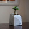 Mini Concrete Vase Handcrafted Geometric Design Gray
