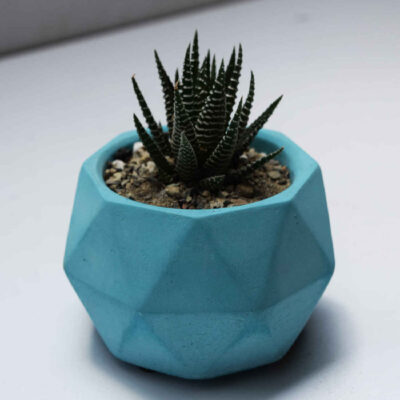 Minimalist Concrete Vase Handcrafted Polyhedral Blue