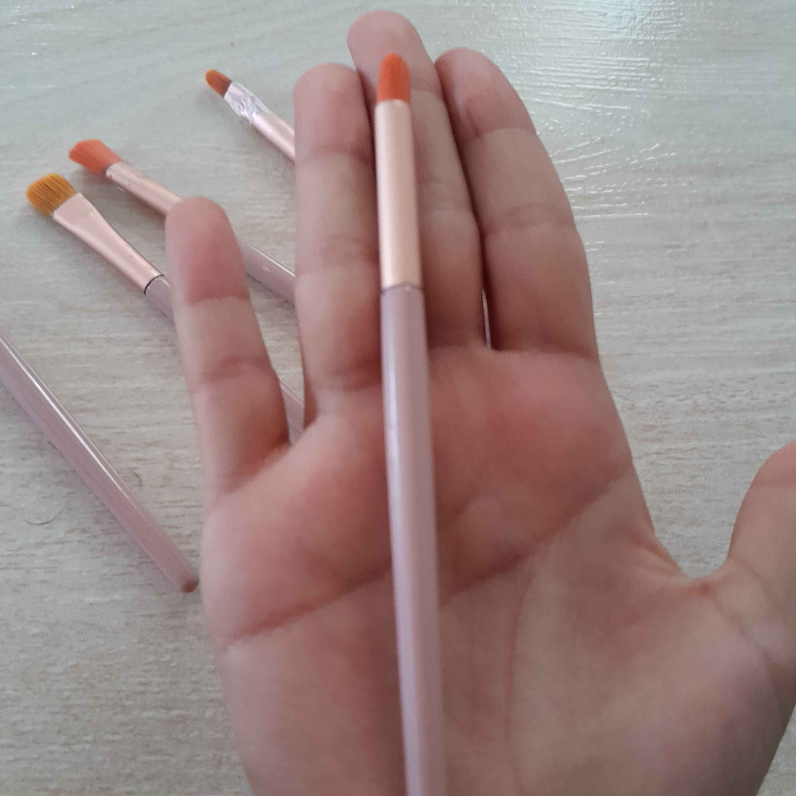 5-Piece Filbert Bristle Paint Brush Set for Watercolor, Acrylic, & Gouache