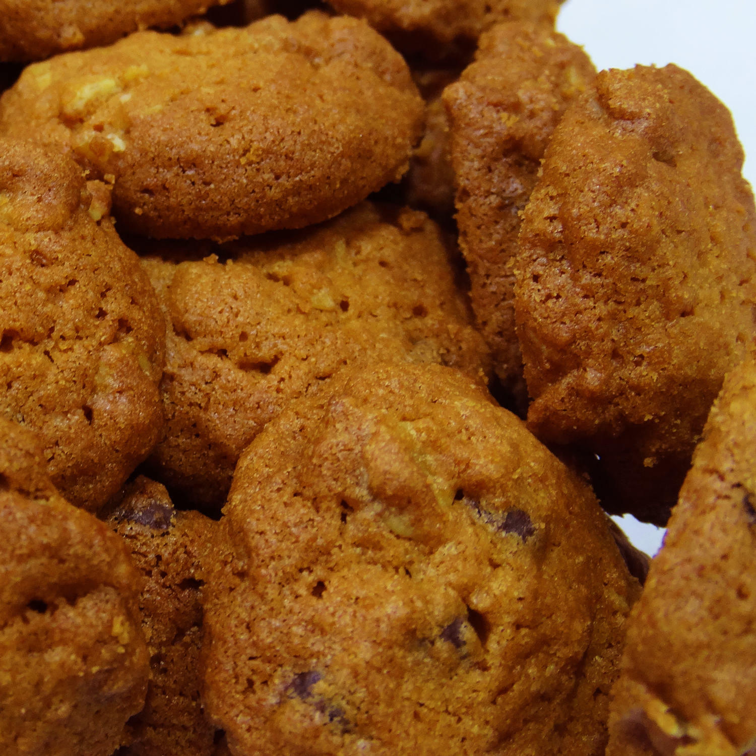 Persian Dietary Barley Cookies from Qazvin 700 grams (2x)