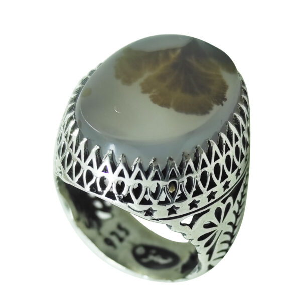 Persian Dendritic Agate Shajar Silver Ring for Men Hadi