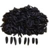 Khoy Shamshiri Jumbo Sunflower Seeds Snack - 1000g