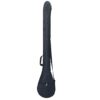 Soft Case for Persian Setar Instrument