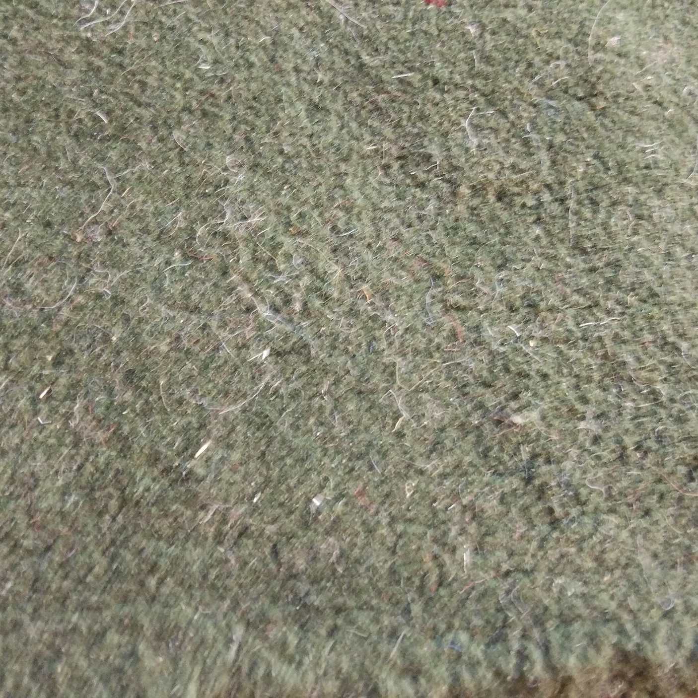 Persian Gabbeh Wool Rug Handwoven in Fars Green