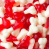 Halal Gummy Candy - Fruit Flavor Bone Shape - Aidin (1000g)