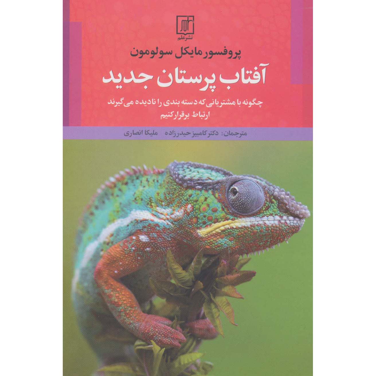 Marketers, Tear Down These Walls! by Michael R Solomon (Farsi)