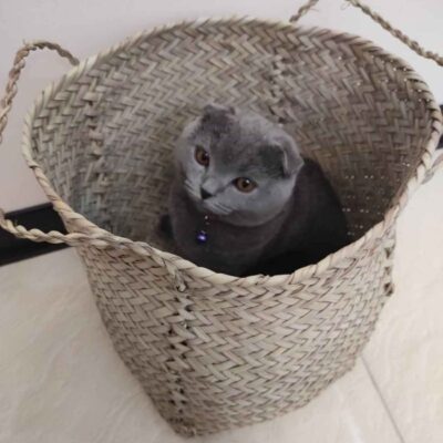 Set of 3 Persian Handwoven Palm Leaf Storage Baskets
