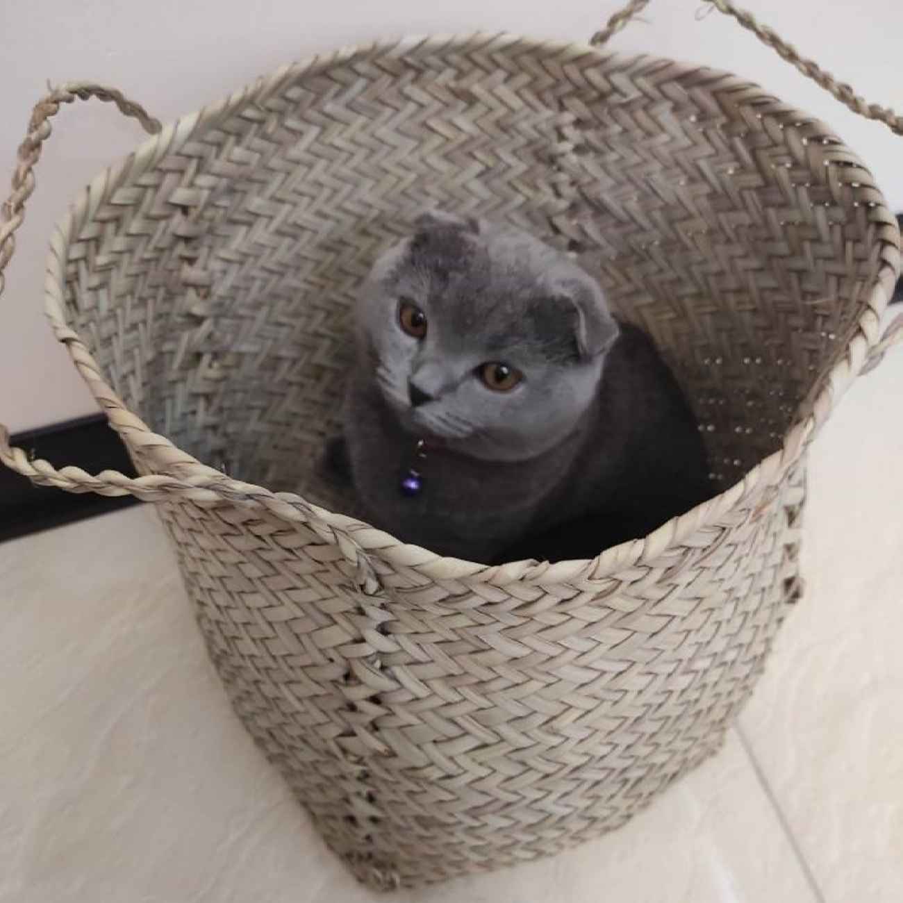 Set of 3 Persian Handwoven Palm Leaf Storage Baskets