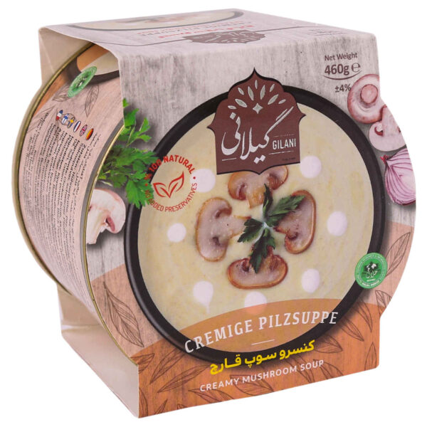 Gilani Creamy Mushroom Soup, 460g (Pack of 3)
