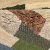 Persian Gabbeh Wool Rug Handwoven in Fars