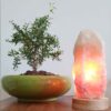 Persian Glow Salt Lamp - Handcrafted with Wooden Base & Rock Design