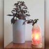 Persian Glow Salt Lamp - Handcrafted with Wooden Base & Rock Design
