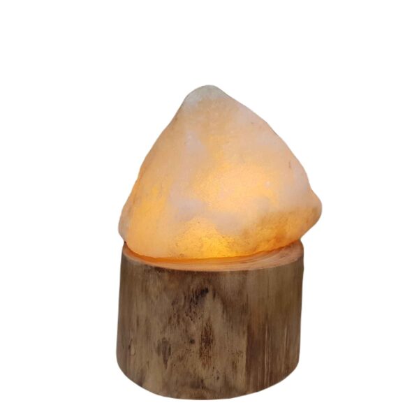 Persian Glow Salt Lamp - Handmade with Maple Wooden Base & Artistic Design