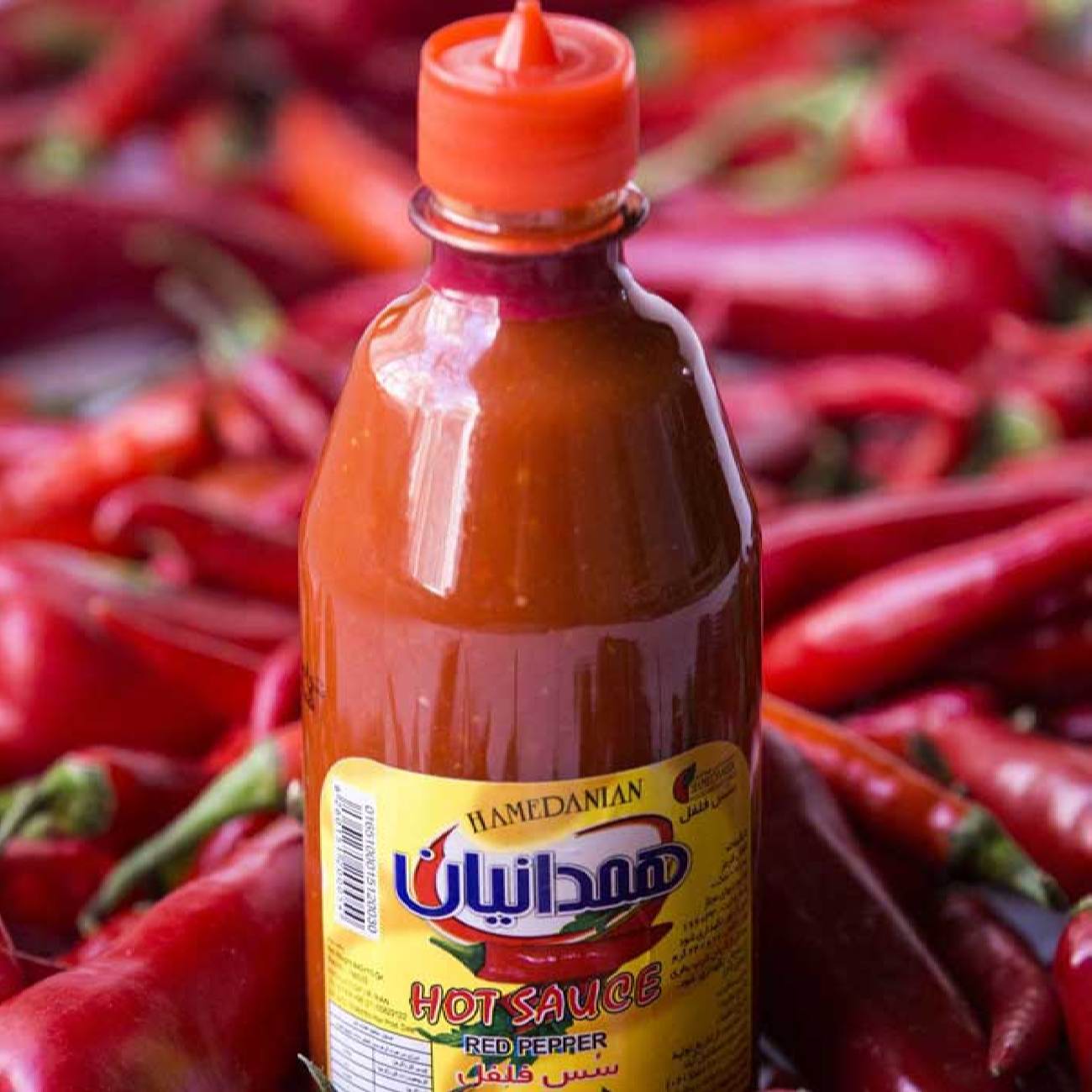 Hamedanian Hot Pepper Tomato Sauce 900 gr