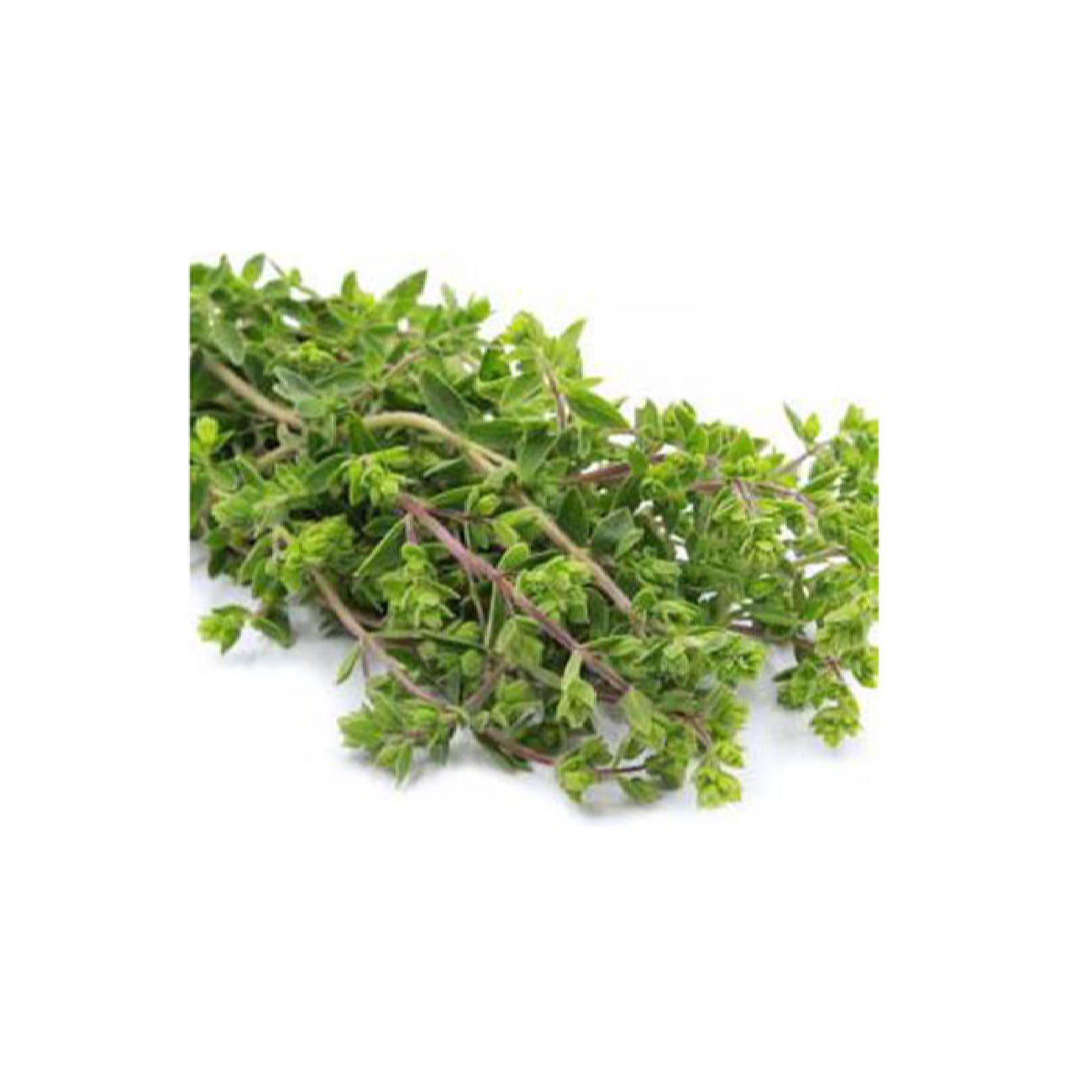 Organic Dried Iranian Marjoram Leaves – 120g