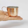 Persian Copper Cup - Handcrafted with Handle for Cold Drinks - Hammered Shahin
