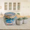 Scented Candle Jar for Gift and Decoration Ocean Breeze Scented