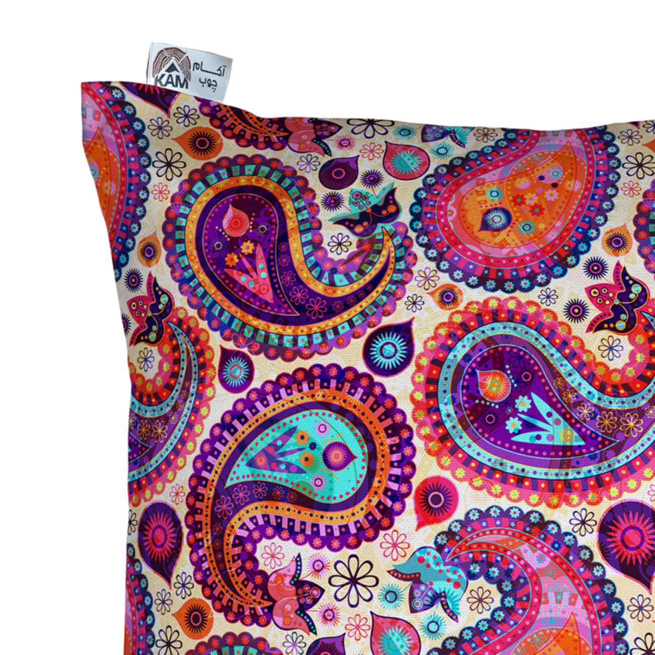 Velvet Cushion Cover – Printed Paisley Design (Set of 2)