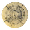 Round Velvet Footstool with Tree Trunk design & Wooden Legs